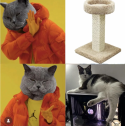 1742123939973.png