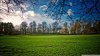 beautiful_meadow_spring-wallpaper-1920x1080.jpg
