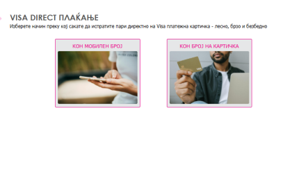 Visa 2.png