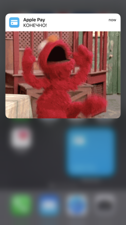 04085EA2-DB94-481B-AFE2-0F6D55BA10D7.png