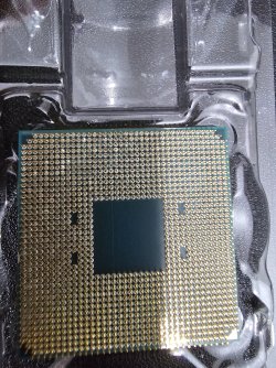 Ryzen 5 5600 + Wraith Stealth Cooler