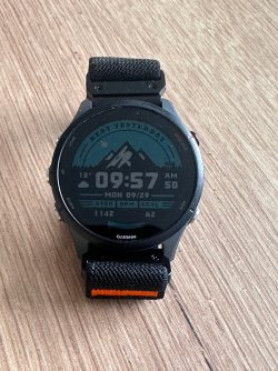 Garmin Forerunner 255