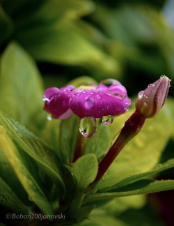 IMG_20251018_190343.jpg