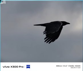 Screenshot_226.jpg