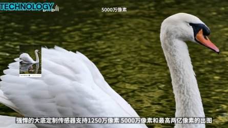 Screenshot_225.jpg