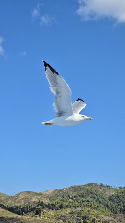 20250908_110925.jpg