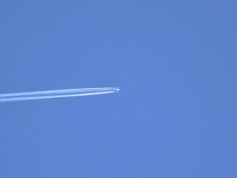 1000009611.jpg