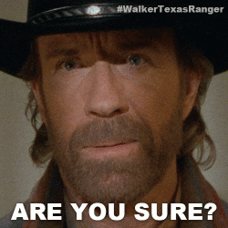 Are You Sure Chuck Norris GIF by Sony Pictures Television.gif