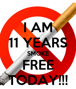 11Year.png