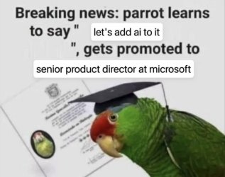 IMG_3848.jpeg
