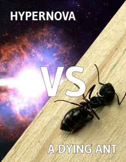1767871546269.png
