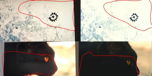 Test.jpg