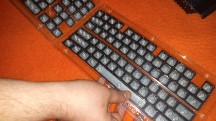 xvx 2.png