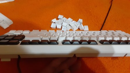xvx 3.jpg