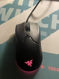 Razer viper mini + mouse skates novi
