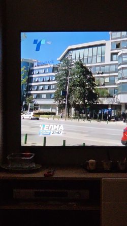 telma.jpg