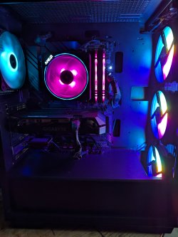 1000011033.jpg