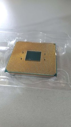 720721426_4397729037181986_3087625860383571835_n.jpg