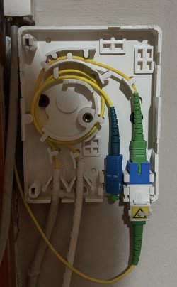 IMG_5931.jpeg