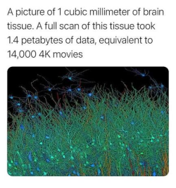 1782995964408.png