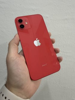 IMG_2363.jpeg