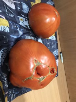 IMG_6504.jpeg