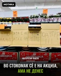 stokomak.jpg