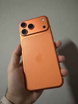 IMG_4302.jpeg