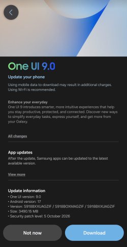 Screenshot_20261019_172336_Software update.jpg