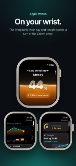 09-apple-watch.jpg