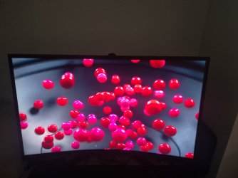 23099.jpg