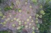 DJI_0004.jpg
