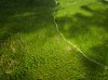 pp-photography-4.jpg