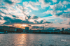 DSC_0095.png