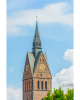 DSC_0289.png