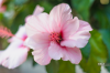 DSC_0463-2.png