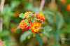 DSC_0468.png