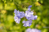 DSC_0472.png