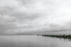 DSC_0147_BW.png