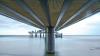 DSC_0291.png