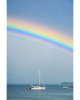 DSC_0443.png