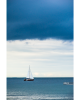 DSC_0777_2.png
