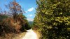 IMG_20170917_133559_HDR.jpg