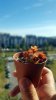20171030_114417.jpg