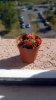 20171030_114445.jpg