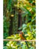 Mama_Tierepark_DSC_0308.jpg
