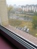 IMG_20171108_090038.jpg