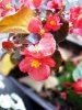 IMG_20171109_124150.jpg