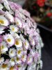 IMG_20171109_123742.jpg