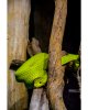 Mama_Tierepark_DSC_03084.jpg
